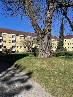 Foto - 3.5 Zimmer Hochparterre zum Kaufen in München