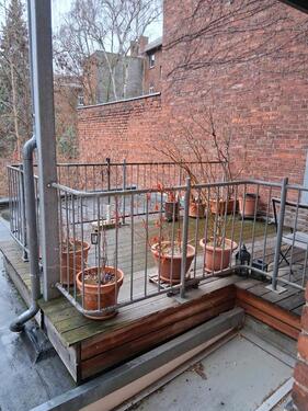 Foto - 3 Zimmer Etagenwohnung zur Miete in Erfurt