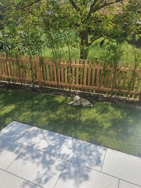 Foto - Erdgeschoßwohnung in Nürnberg zum Kaufen