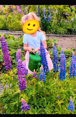 Foto - wunderschöner Garten - 500,00&nbsp;EUR Kaltmiete, ca.&nbsp; 0,00&nbsp;m&sup2;