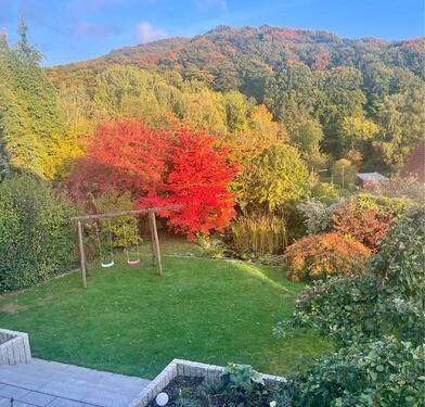 Foto - Familiennest mit Traumgarten und Glasfaser