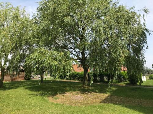 Foto - Etagenwohnung in Galenbeck zur Miete