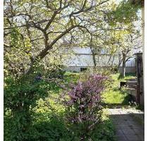 Haus Einfamilienhaus mit Garten nahe Geiseltalsee - Mücheln (Geiseltal)