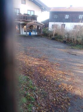 Foto - andere in Traunstein