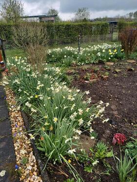 Foto - Grundst&uuml;ck in Leipzig zur Miete