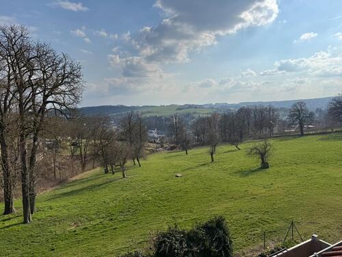 Foto - Dachgeschoßwohnung in Reichenbach im Vogtland zur Miete