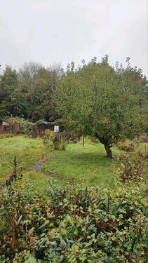 Foto - Grundstück zur Miete in Kiel