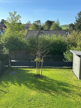 Foto - 5 Zimmer Doppelhaushälfte in Wehrheim