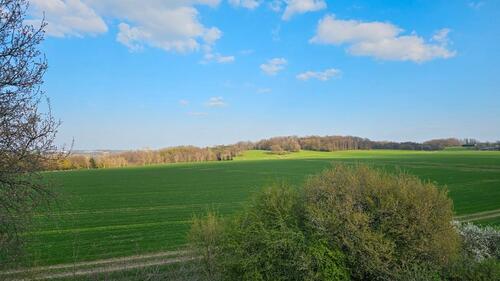 Foto - 2 Zimmer Dachgeschoßwohnung in Ratingen