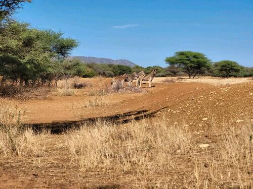 Foto - andere zur Miete in Seligenstadt