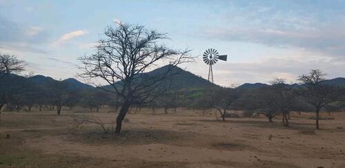 Foto - andere in Seligenstadt