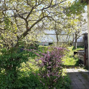 Foto - 6 Zimmer Einfamilienhaus zum Kaufen in Mücheln (Geiseltal)
