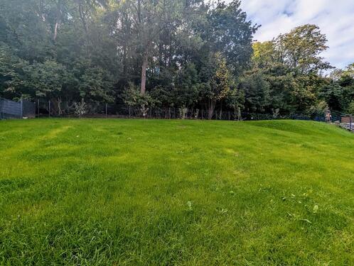 Foto - 4 Zimmer Etagenwohnung zur Miete in Wernigerode