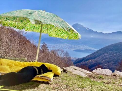 Foto - Heimelige Berghütte in Alleinlage am Comer See - traumhaft