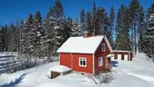 Foto - Ferienhaus um Burträsk - schwedisch Lappland - Ruhe - Natur