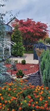 Foto - 10 Zimmer Einfamilienhaus in Seligenstadt