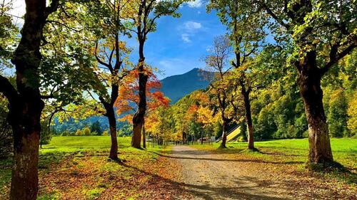 Foto - andere in Oberstdorf zur Miete