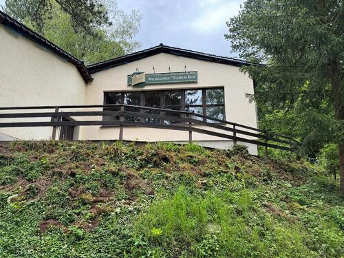 Foto - Einfamilienhaus in Plaue zum Kaufen