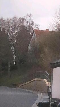 Foto - Haus in Zerf mit größem garten i
