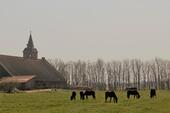 Foto - Bauernhaus, Landhaus zum Kaufen in Wurster Nordseeküste