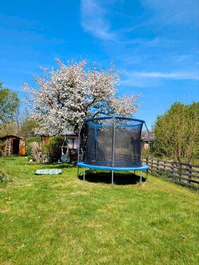 Foto - Grundst&uuml;ck zur Miete in Naunhof