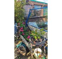 Schrebergarten Pachtgarten KGV Flora SZ - Salzgitter