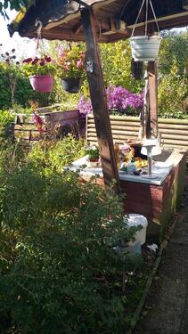 Foto - Grundstück zur Miete in Salzgitter