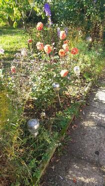 Foto - Grundstück in Salzgitter