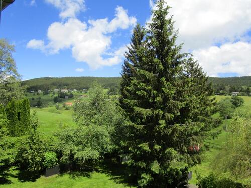 Foto - Etagenwohnung zur Miete in Lenzkirch