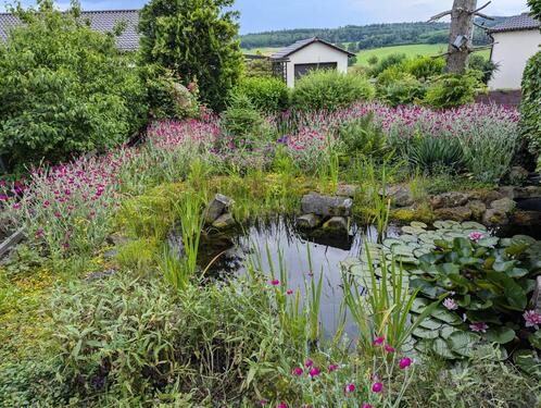 Foto - Einfamilienhaus in Lauterbach (Hessen) zum Kaufen