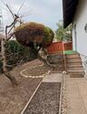 Foto - 4 Zimmer Einfamilienhaus zur Miete in Flein