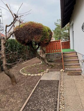Foto - 4 Zimmer Einfamilienhaus zur Miete in Flein