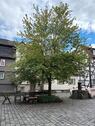 Foto - 4 Zimmer DGW direkt in Alsfeld Innenstadt