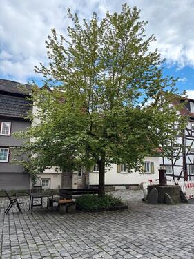 Foto - 4 Zimmer DGW direkt in Alsfeld Innenstadt