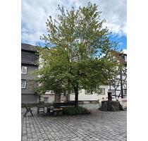 4 Zimmer DGW direkt in Alsfeld Innenstadt