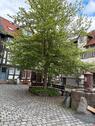 Foto - 3 Zimmer Etagenwohnung zur Miete in Alsfeld