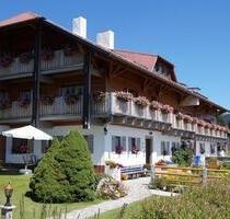 Urlaub im Bay. Wald genießen - Ferienwohnung zu vermieten - Neureichenau