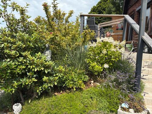 Foto - Grundst&uuml;ck in Hartenstein zur Miete