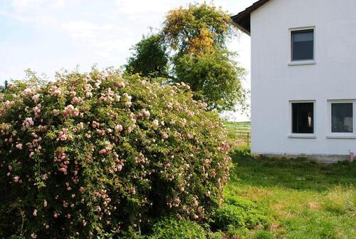 Foto - Hof in Alleinlage Sacherl zu verkaufen