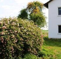 Hof in Alleinlage Sacherl zu verkaufen - Egglham