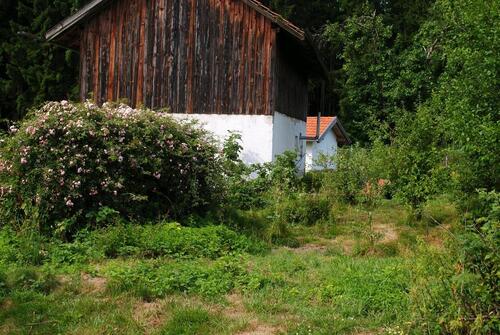 Foto - Einfamilienhaus in Egglham zum Kaufen
