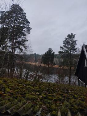 Foto - Bungalow zum Kaufen in Guben