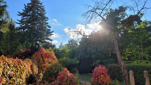 Foto - 2 Zimmer Erdgeschoßwohnung in Weißenfels