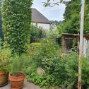 Foto - Einfamilienhaus in Blankenrath zum Kaufen