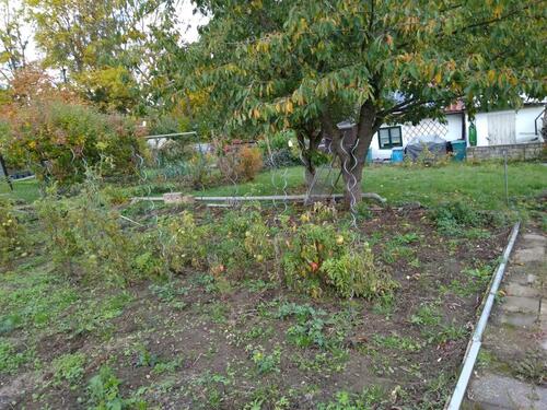 Foto - Grundstück zur Miete in Salzgitter
