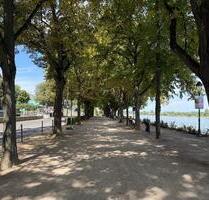 BONN Zentrum, tolle 3,5 Zi. Maisonnette-Whg, 93 m² Wfl. im 4 Part. Haus ca. 100 m vom Rhein, Balkon