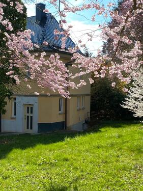 Foto - 6 Zimmer Einfamilienhaus zur Miete in Ulm