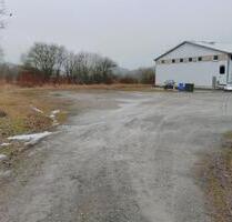 Halle mit Grundstück (4500 m²) zu vermietenpachten - Rüthen