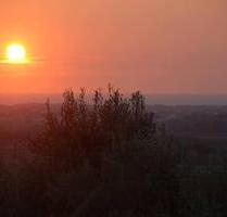 Ferienhaus Toskana Meerblick im Olivenhain - Sulingen