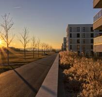 Wohnung zu vermieten - 900,00&nbsp;EUR Kaltmiete, ca.&nbsp; 60,00&nbsp;m&sup2; in Würzburg (PLZ: 97074) Frauenland